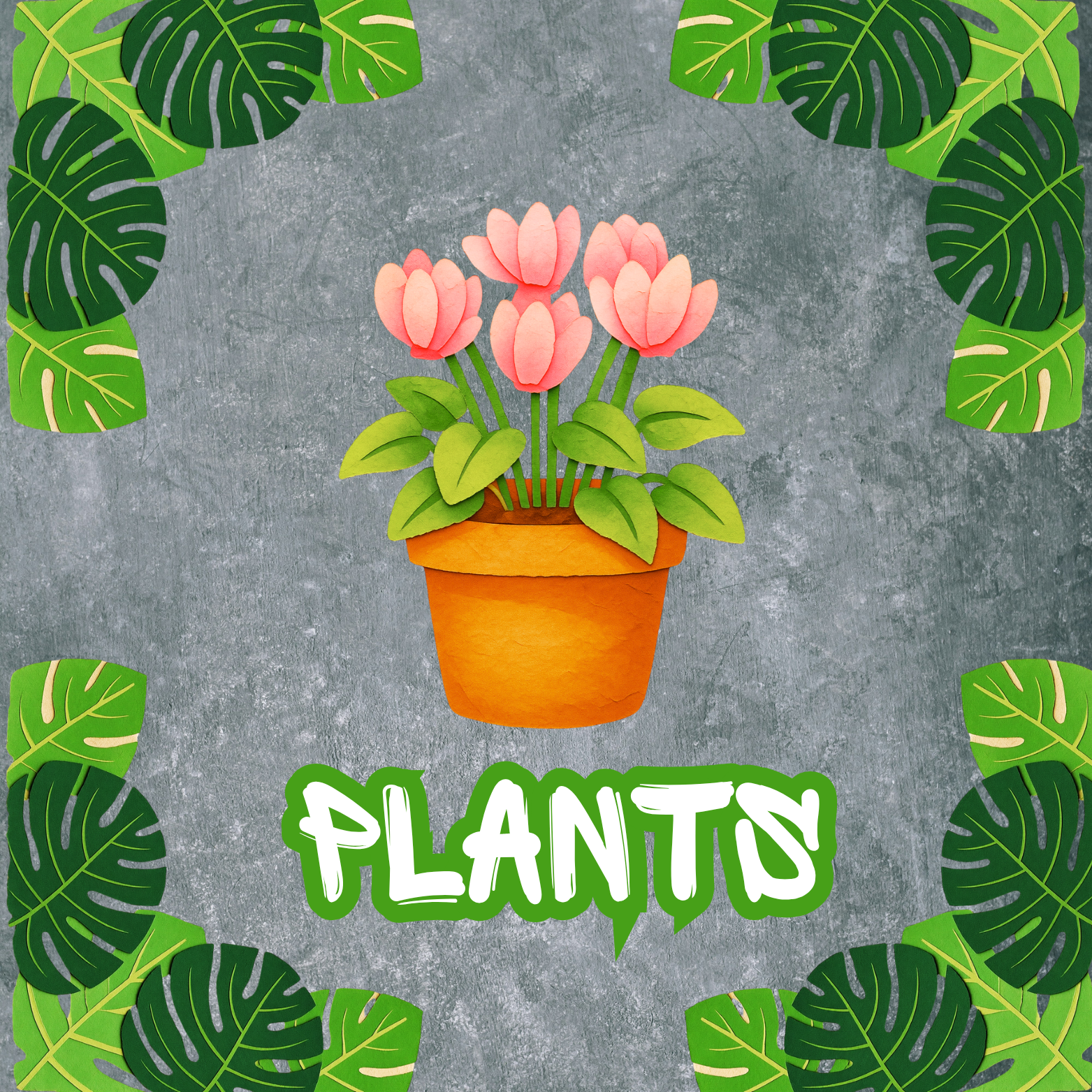 Plant Tee's